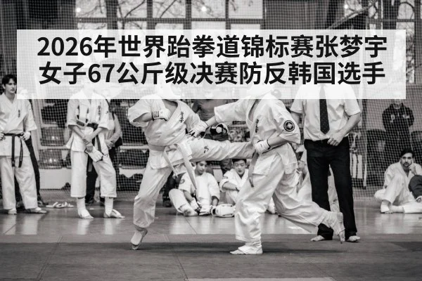 2026年世界跆拳道锦标赛张梦宇女子67公斤级决赛防反韩国选手