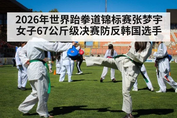 taekwondo kick competition